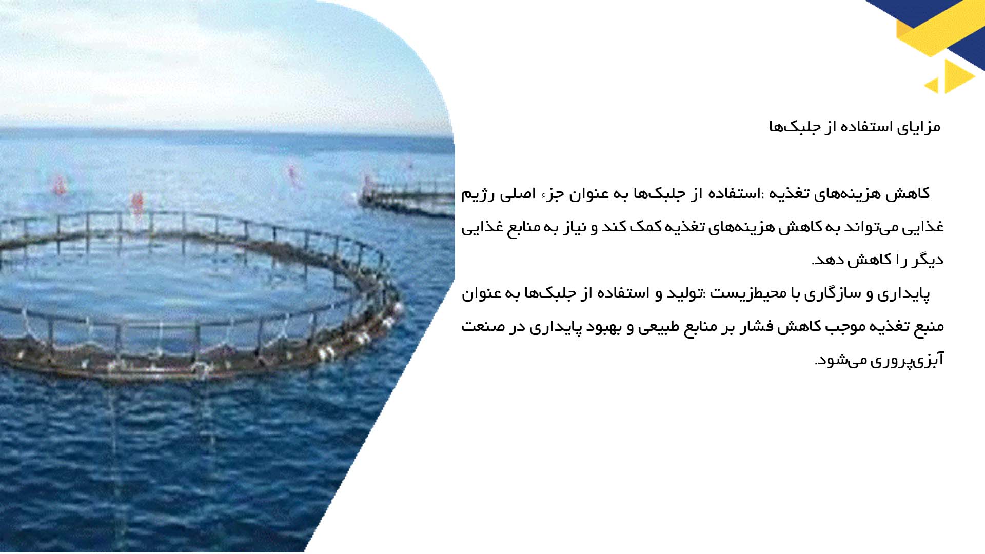 پاورپوینت در مورد استفاده از جلبک‌ها در پرورش آبزیان